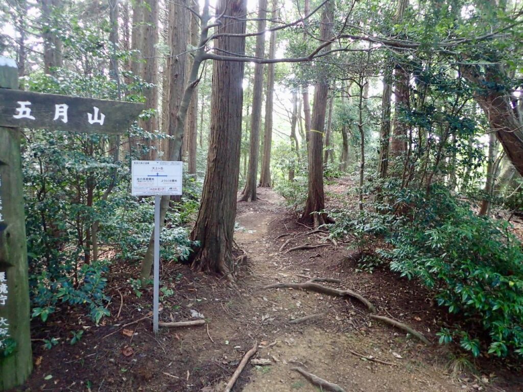 天上ヶ岳への分岐