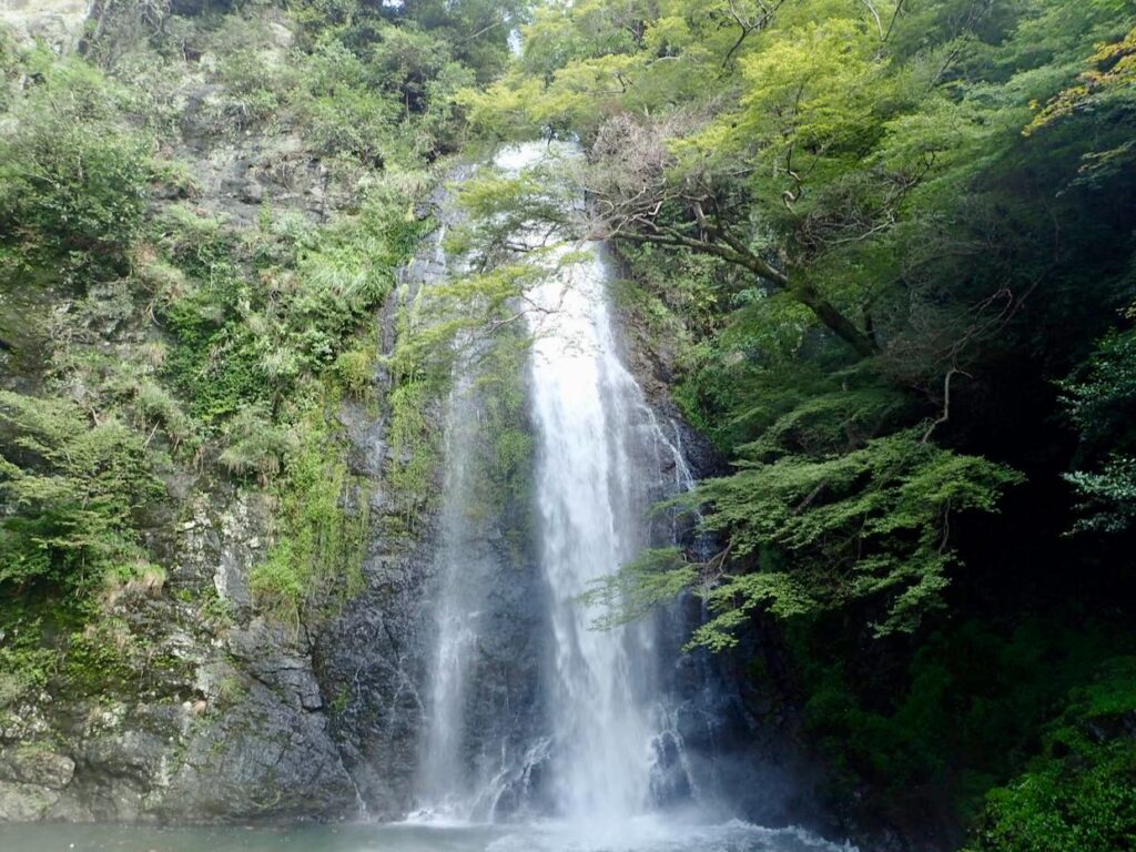箕面大滝はこの辺りではとても立派だ