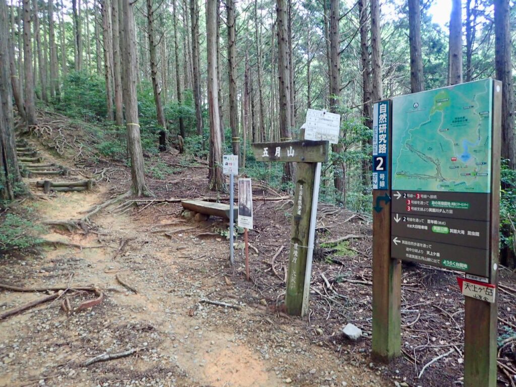 自然研究路2号と合流し、箕面自然歩道へ
