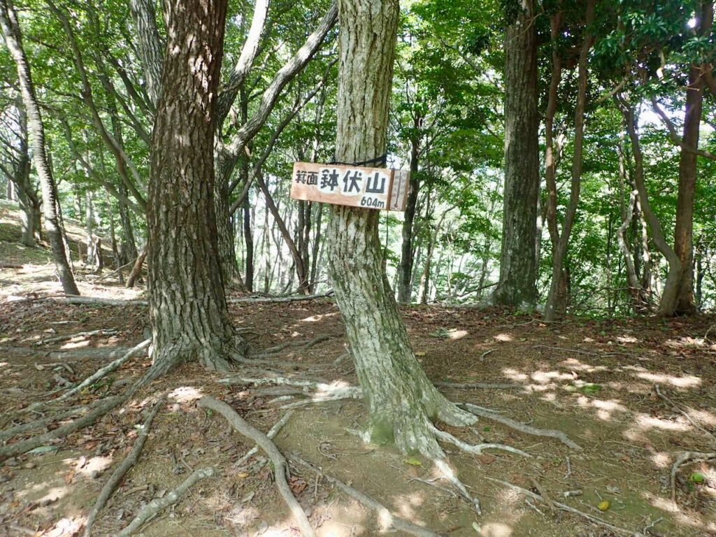 鉢伏山の山頂
