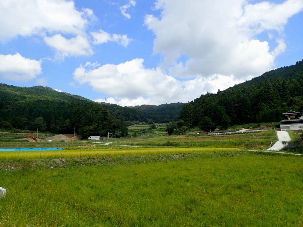 高山の棚田