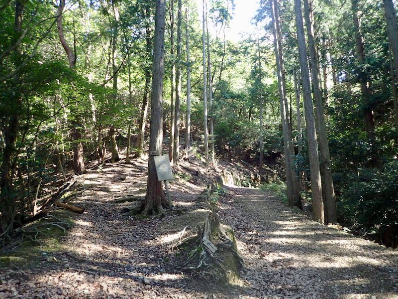 どちらも三上山へ行く