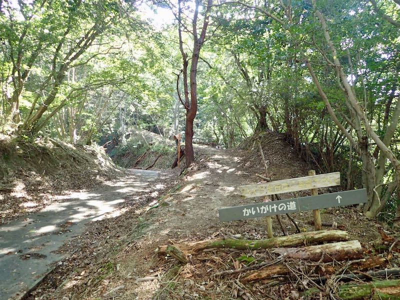 ようやく三上山へのかいがけの道へ