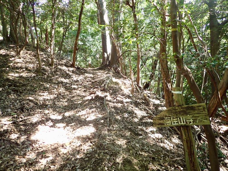 一山を越えると海住山寺だ