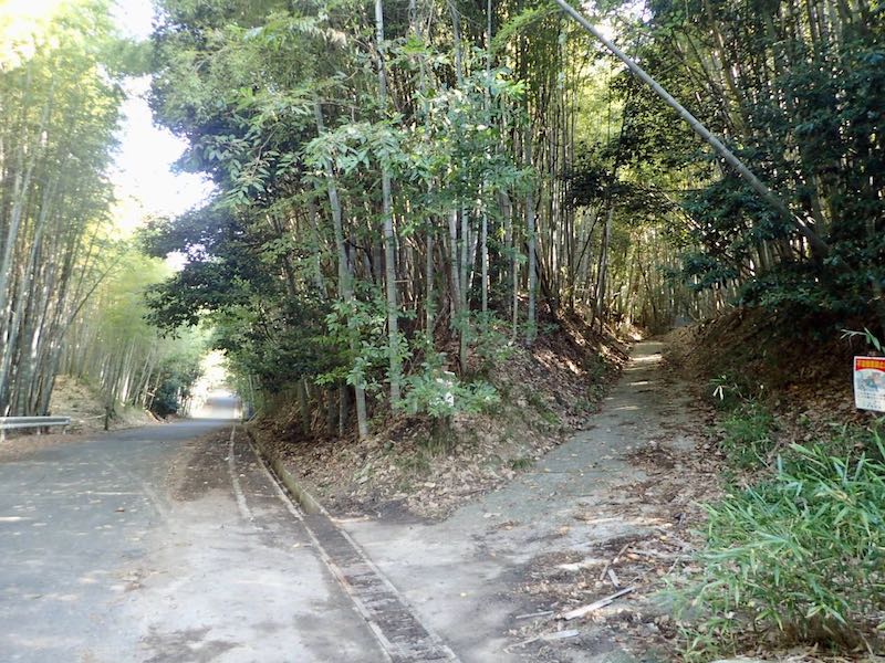 一旦道路に出てまた山の道へ
