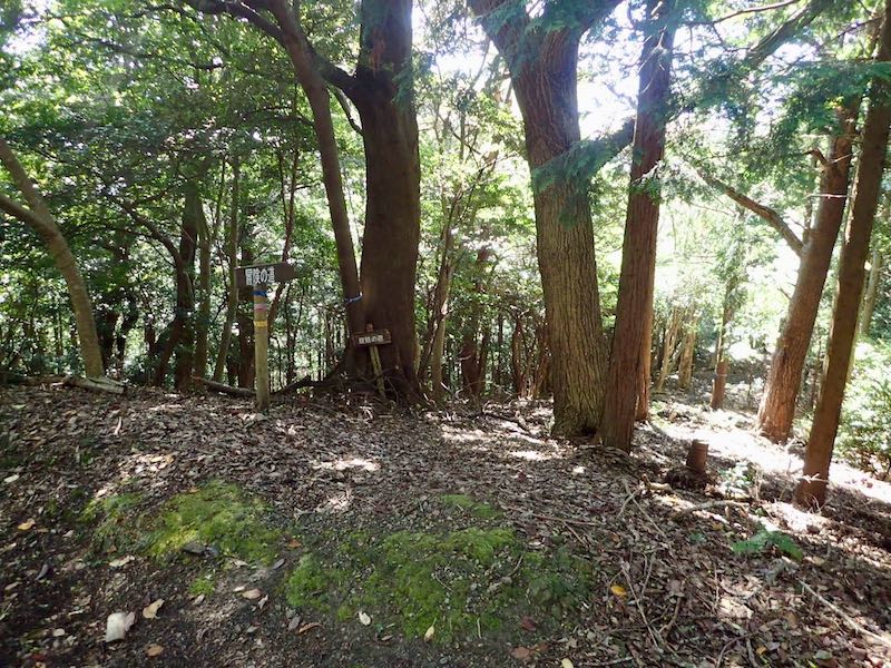 冒険の道で下りるが踏み跡程度