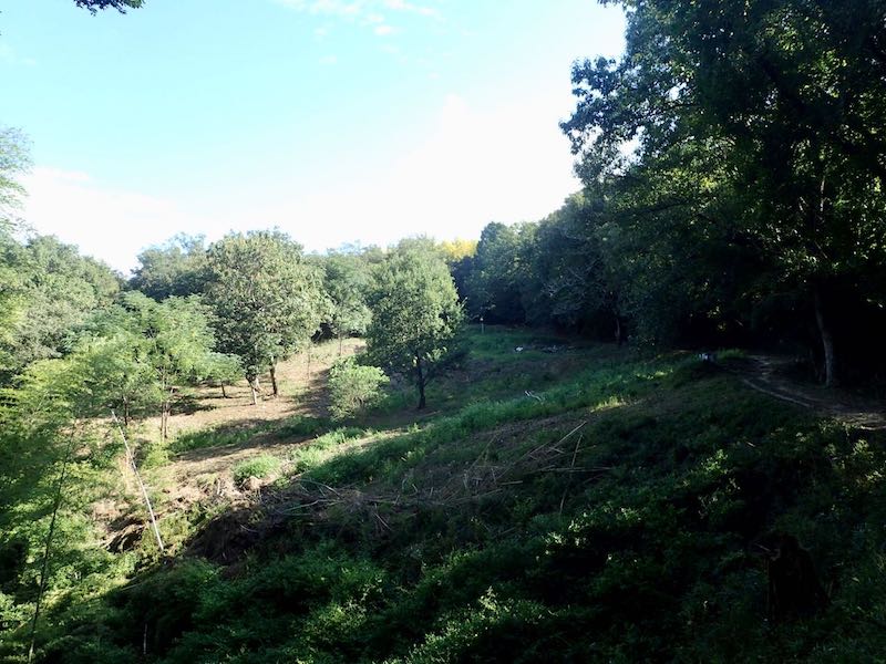 広々としたところに出た