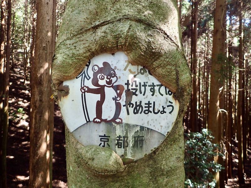 木に喰われる看板