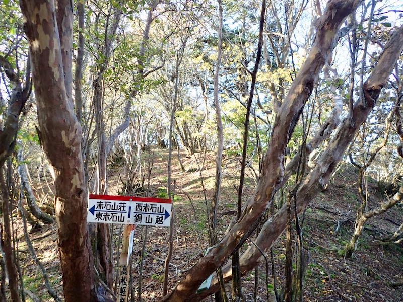 ここで右手へ下る