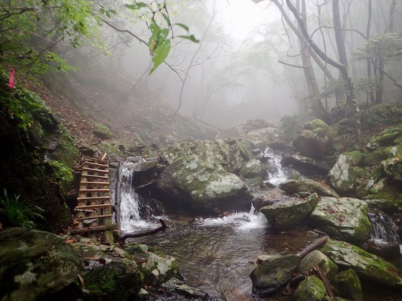 ガスの中に突入-道はわかりにく所あり