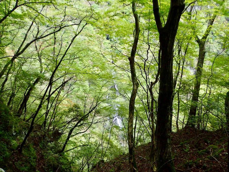 八間滝だろうか？