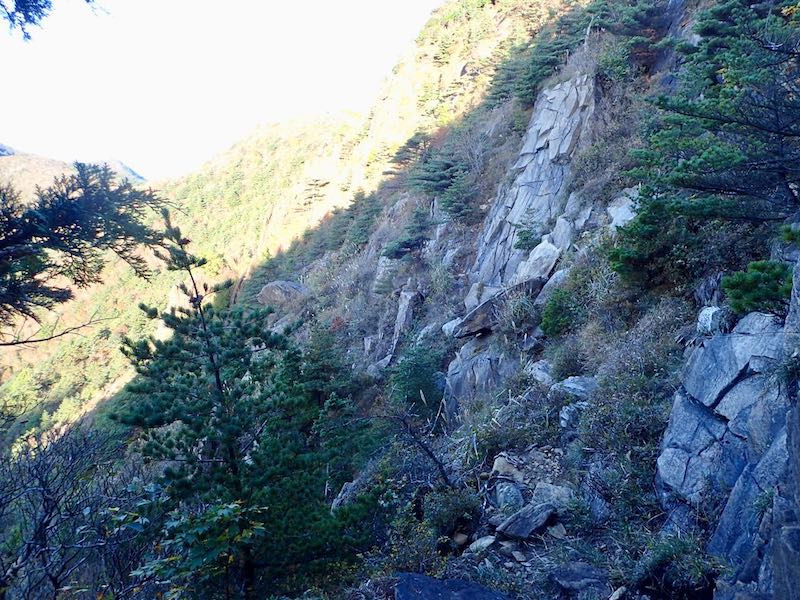 前赤石山の巻道は岩棚を繋いだようなルート