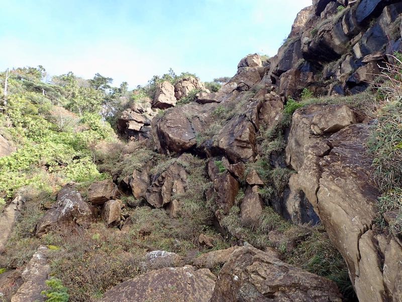 左の切れ込みを目指す
