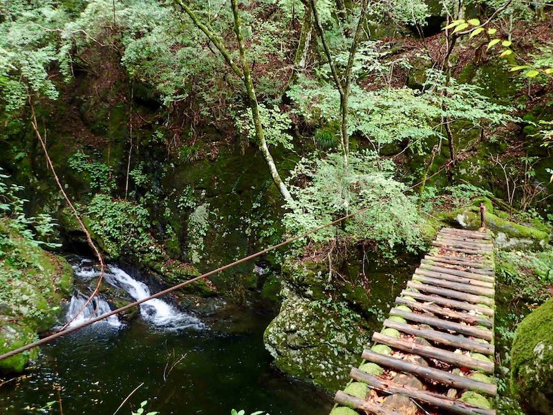 木橋-左のロープがないと怖い