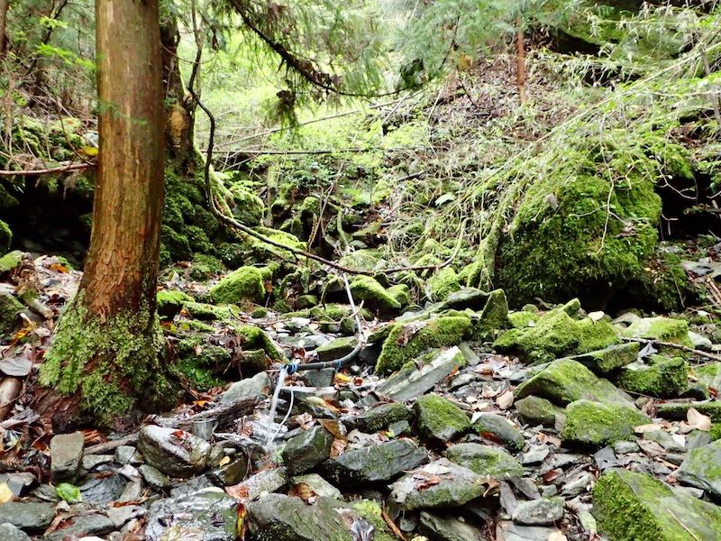 水場があって汲んでおく
