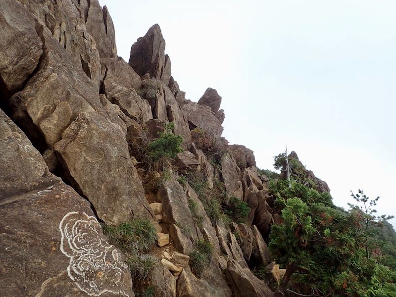 真ん中やや左の溝がルート