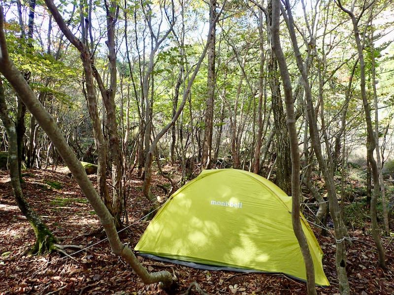 赤石山荘の幕営地は森の中だ