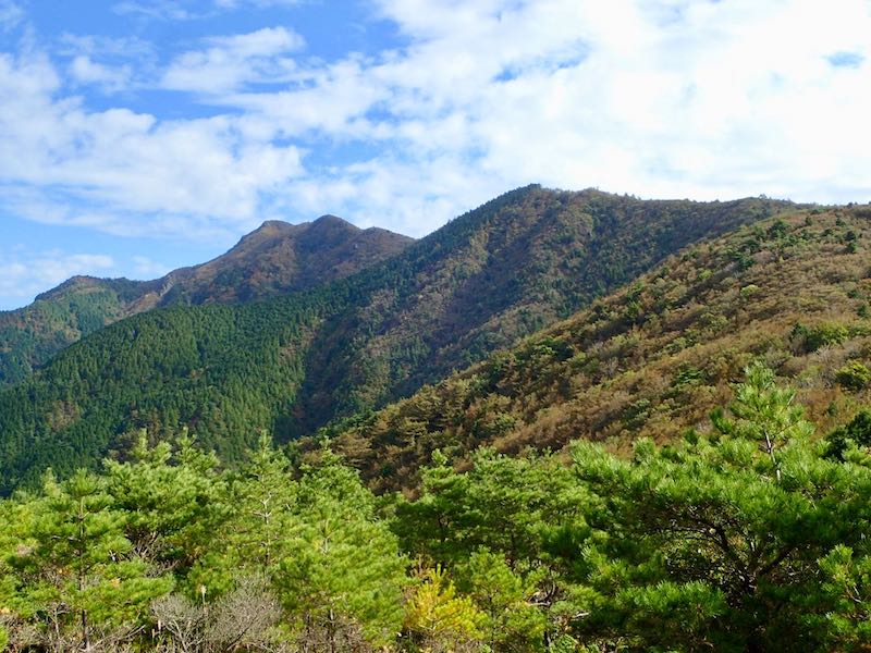 銅山越から西赤石山