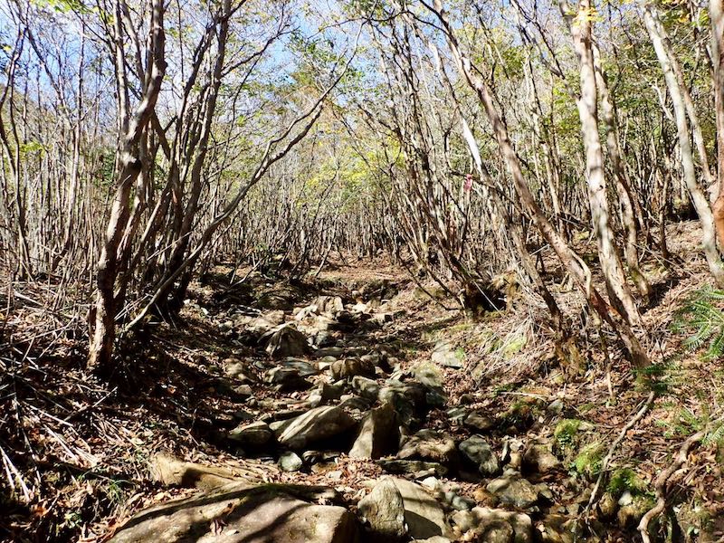 雨の時は水が流れていそうな道を進む
