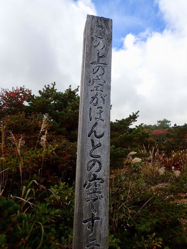 この上の空がほんとの空です