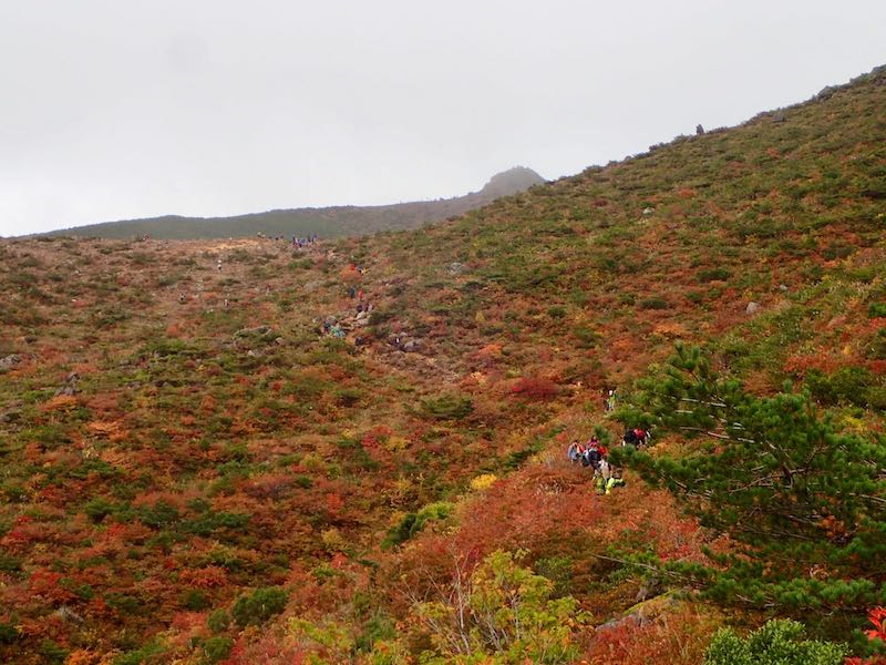 山頂の「乳首」が見えた