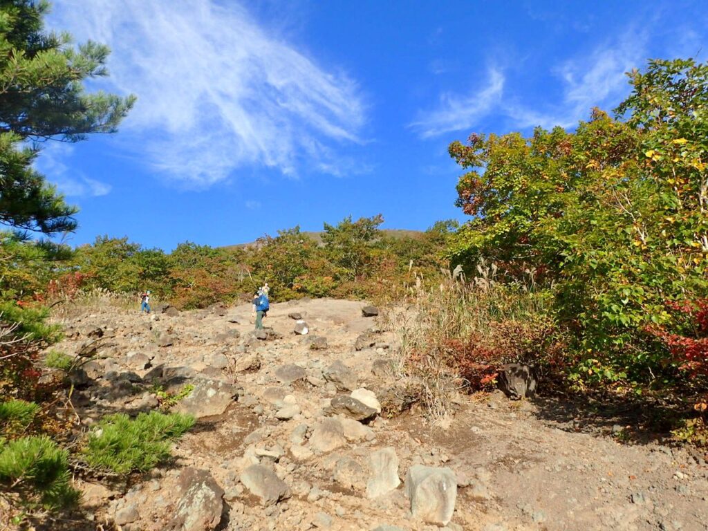 だいぶ登ってきた
