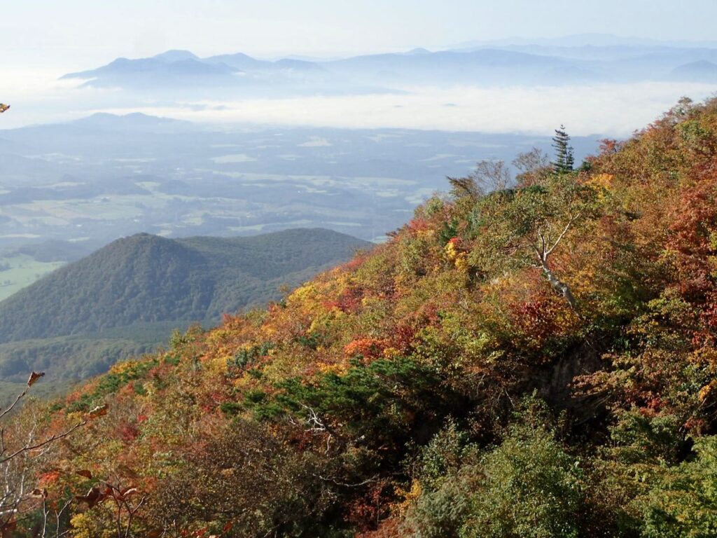 紅葉が始まっている