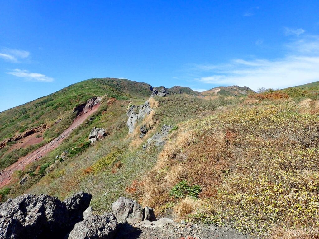 視界が広がった