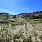 砥峰高原　ステージから