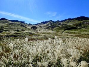 砥峰高原　ステージから