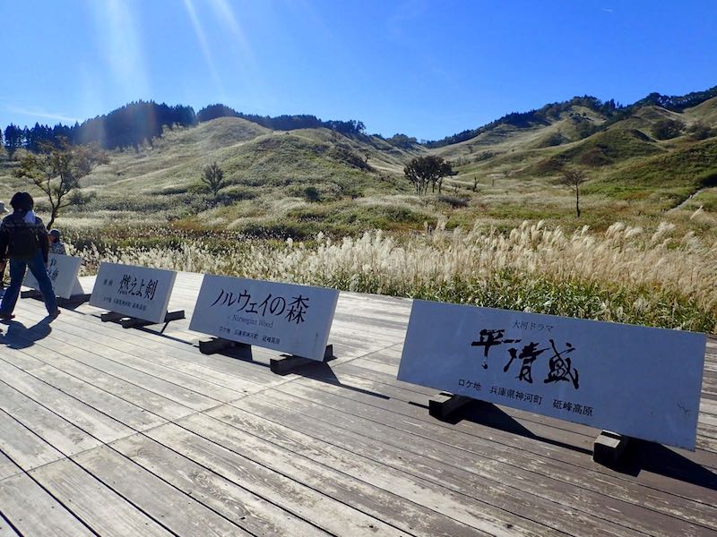 数々のロケ地になっている