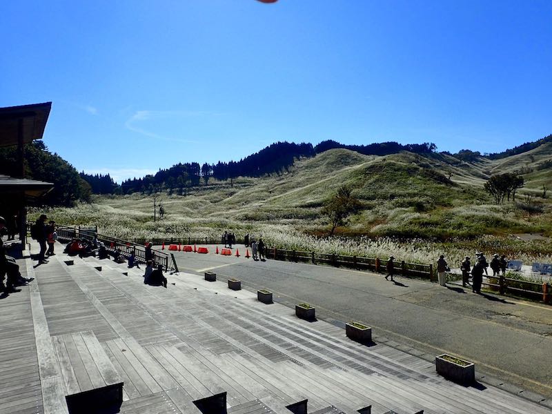 階段状のテラスあり