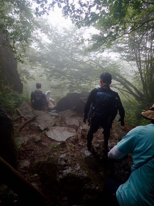 下山は割と難儀する