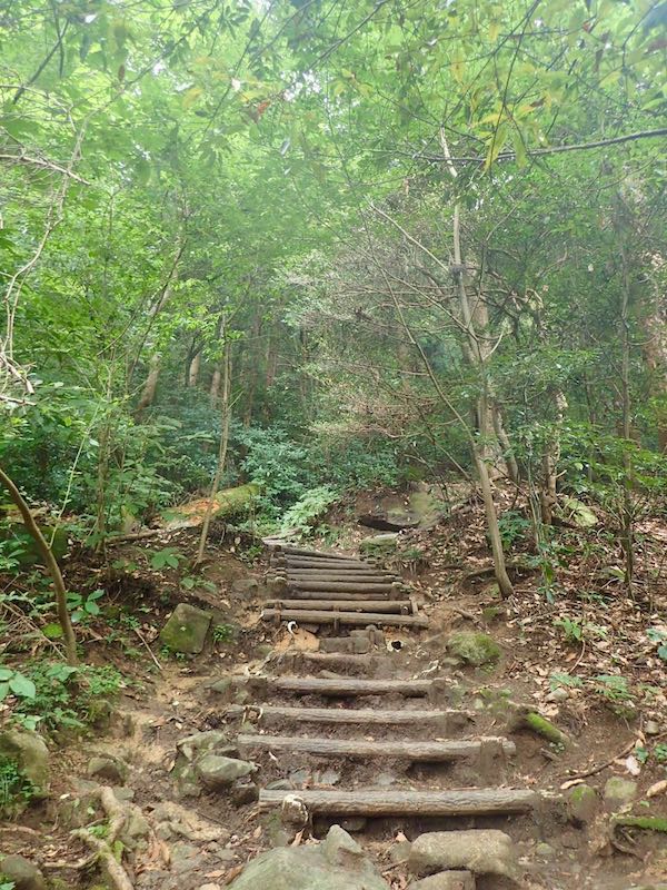 丸太階段あり