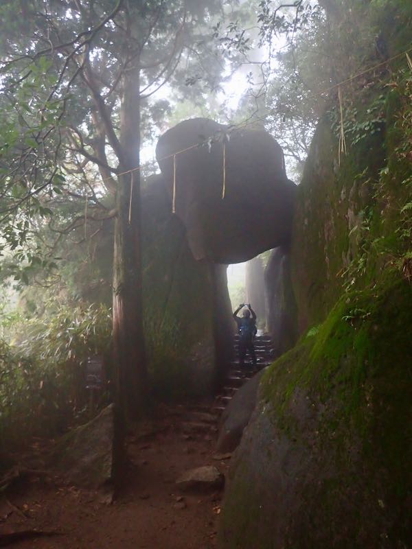 9月の筑波山　自然探究路の美林と巨石巡りが楽しい