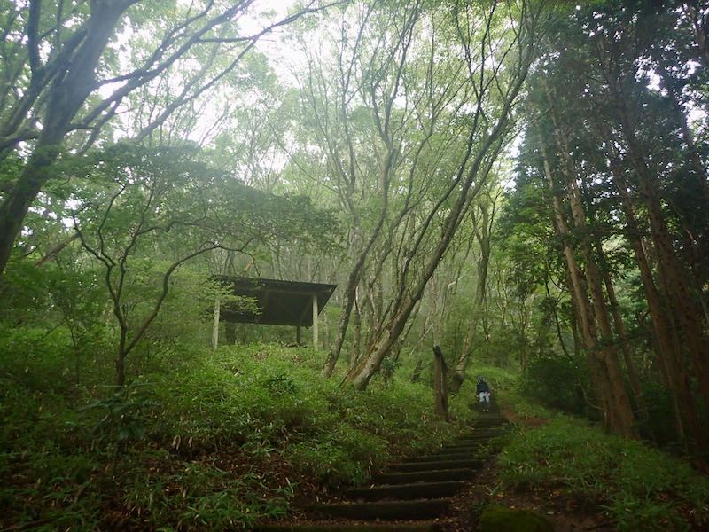 自然研究路は綺麗だ