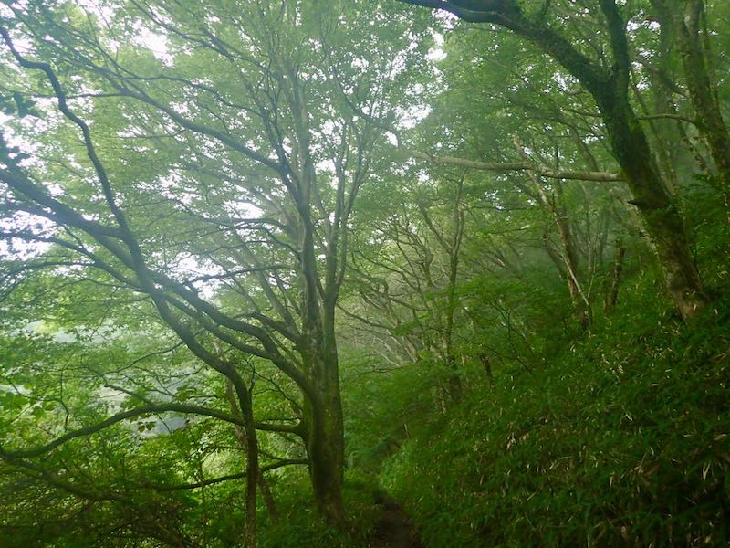 自然研究路は綺麗だ２