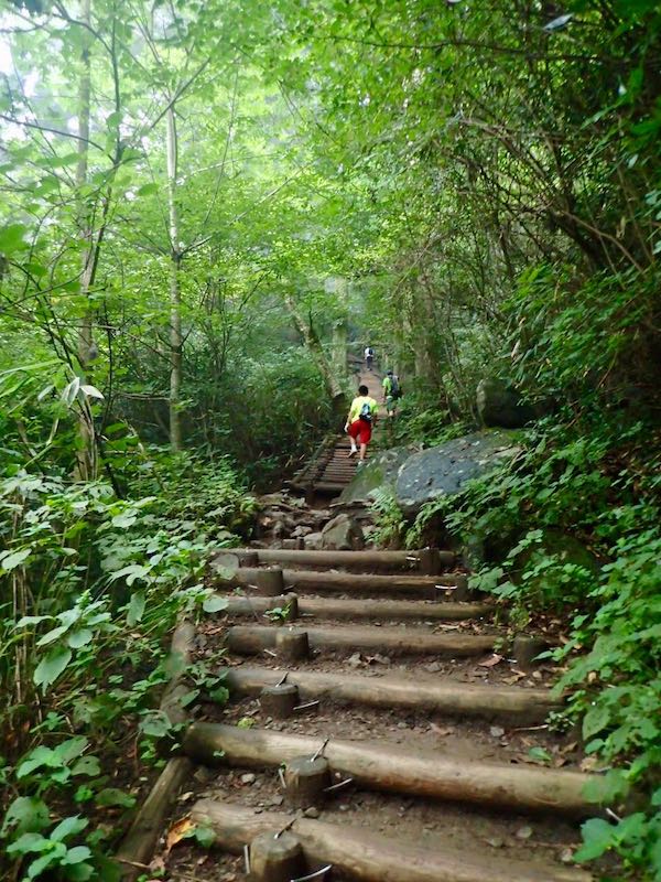 階段状をぐんぐん登る