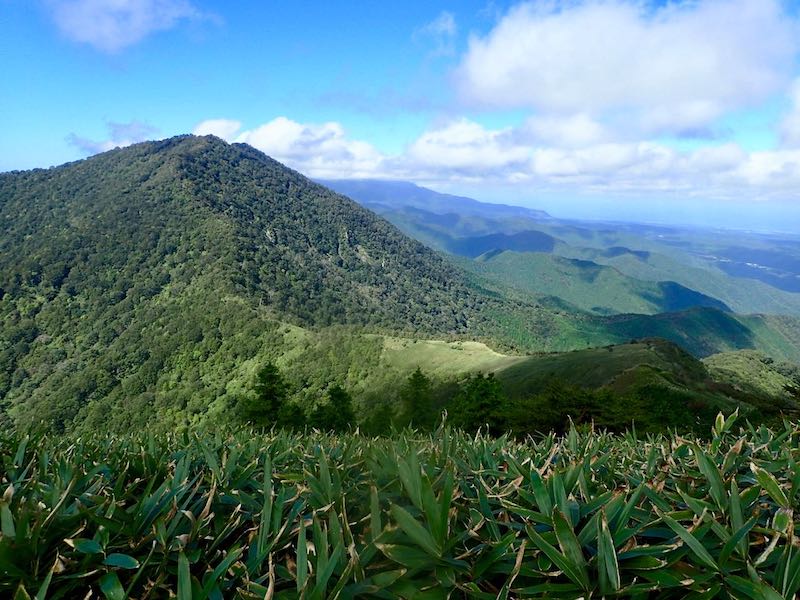 上蒜山へまた登り返しだ