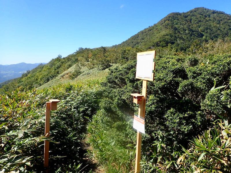 カウンターが設置されている