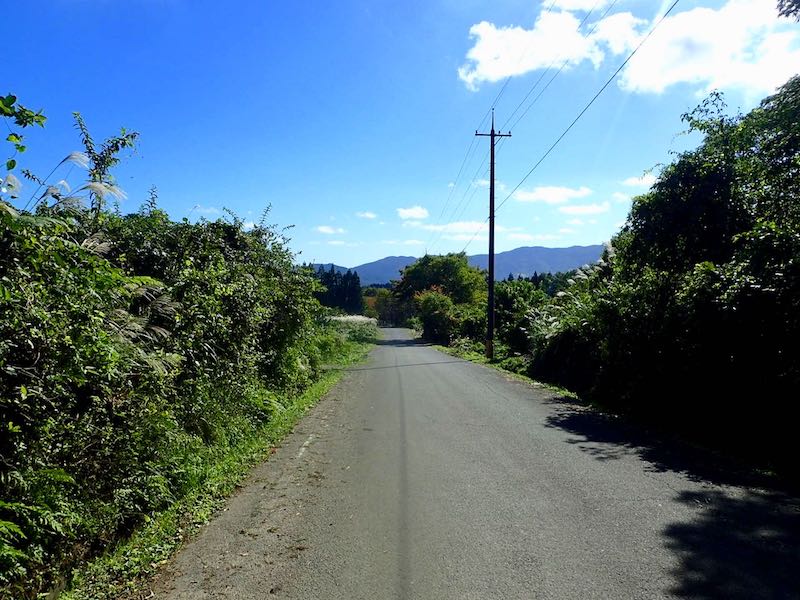 下蒜山登山口まで歩くことにした