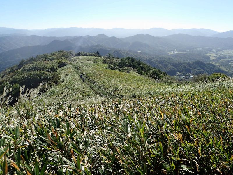 雲居平はススキ原が広がる