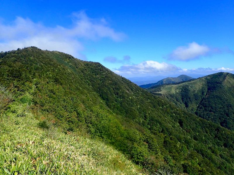 左から上、下、中蒜山