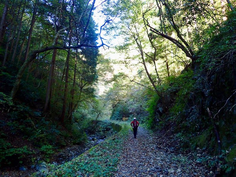 実際は横の林道も使う