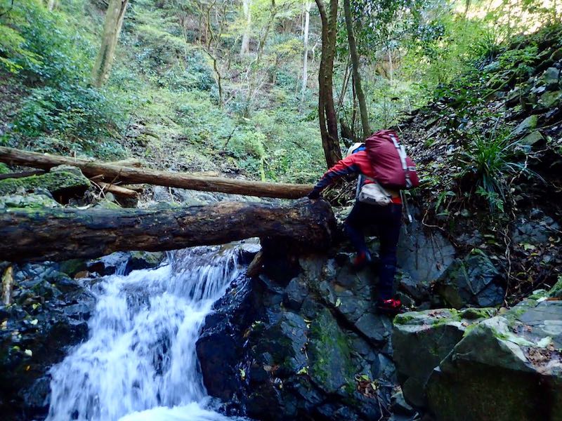 高尾山北麓・小下沢ウォーターウォーキングから堂所山　