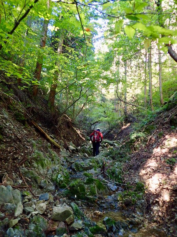 源流になって平凡