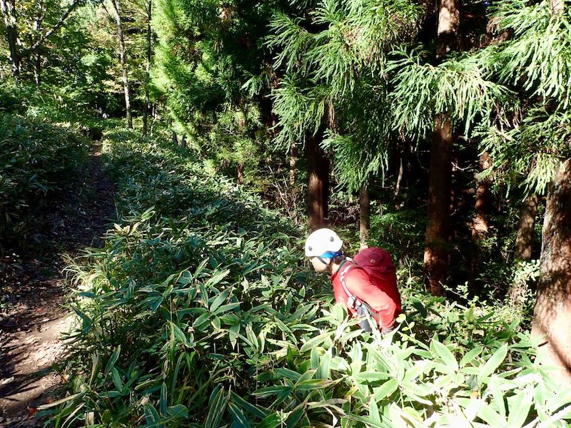 登山道に出た