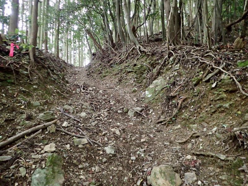 全コースを通じて石混じりの道が続く