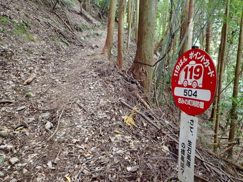 標識にはクイズあり