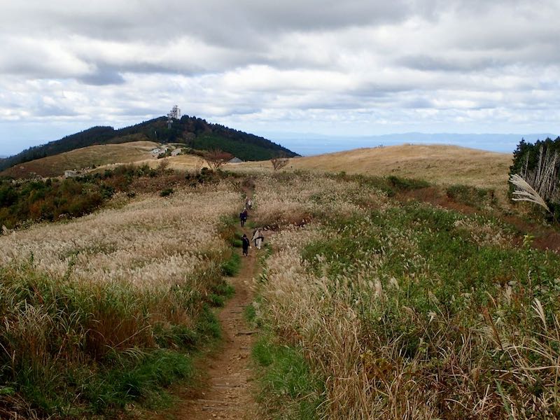 和歌山・生石ヶ峰のススキが見頃（11月初旬）　公共交通で日帰り